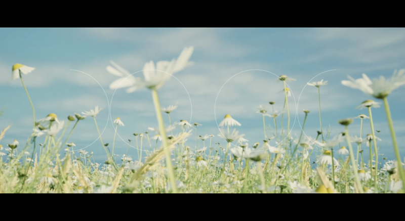 06 전음 배경영상 gallery 1